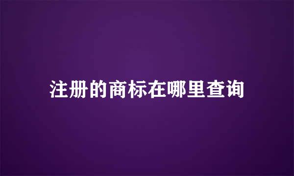 注册的商标在哪里查询
