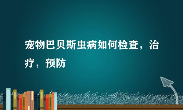 宠物巴贝斯虫病如何检查,治疗,预防