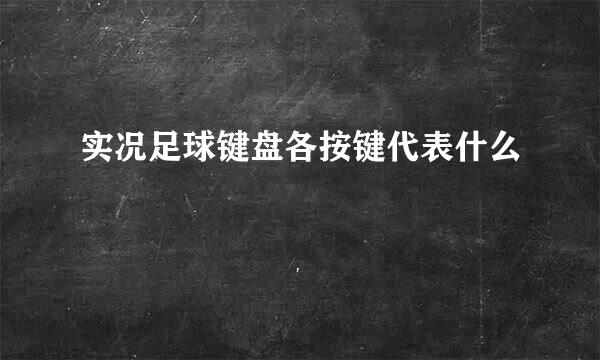 实况足球键盘各按键代表什么