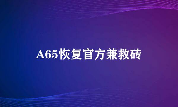 A65恢复官方兼救砖
