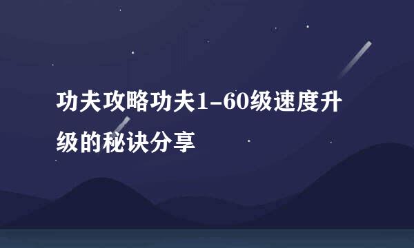 功夫攻略功夫1-60级速度升级的秘诀分享