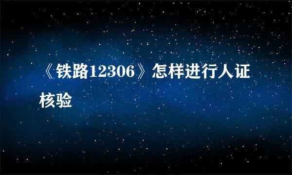 《铁路12306》怎样进行人证核验