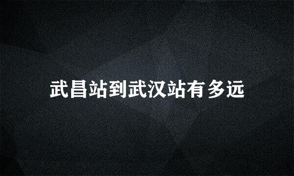 武昌站到武汉站有多远