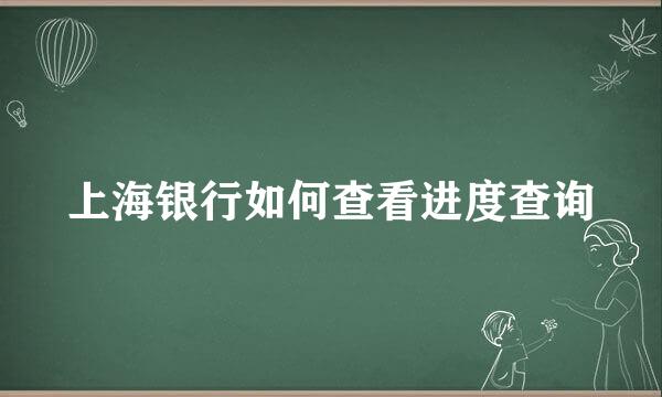 上海银行如何查看进度查询