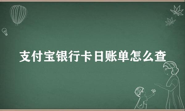 支付宝银行卡日账单怎么查