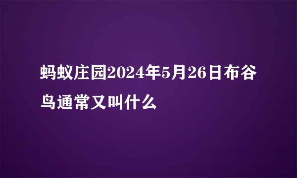 蚂蚁庄园2024年5月26日布谷鸟通常又叫什么