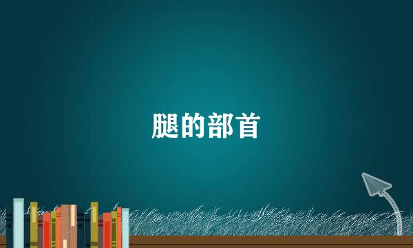 腿的部首