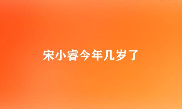 宋小睿今年几岁了