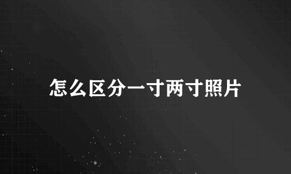 怎么区分一寸两寸照片