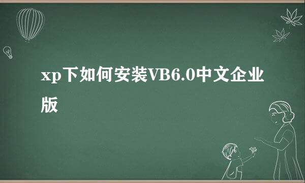 xp下如何安装VB6.0中文企业版