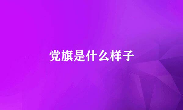 党旗是什么样子