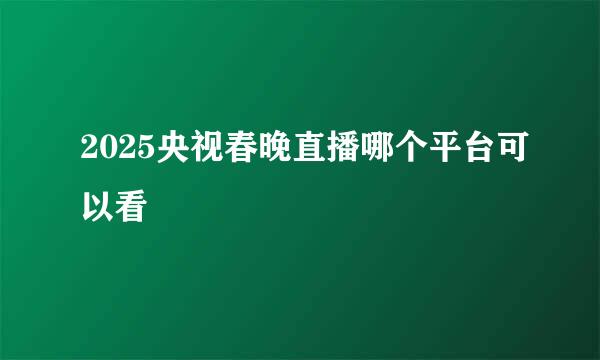 2025央视春晚直播哪个平台可以看