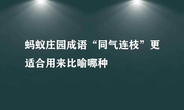 蚂蚁庄园成语“同气连枝”更适合用来比喻哪种