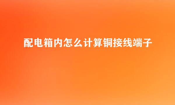 配电箱内怎么计算铜接线端子