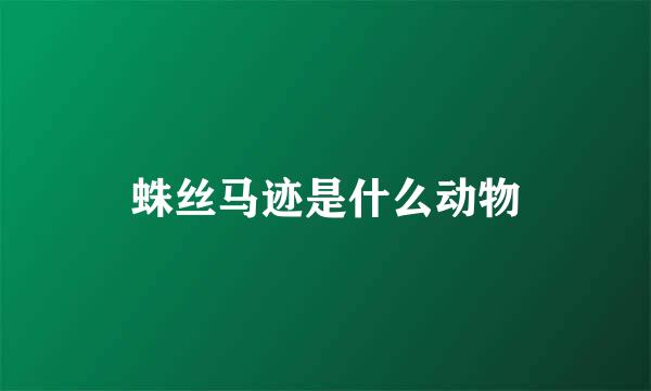 蛛丝马迹是什么动物