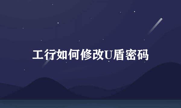 工行如何修改U盾密码