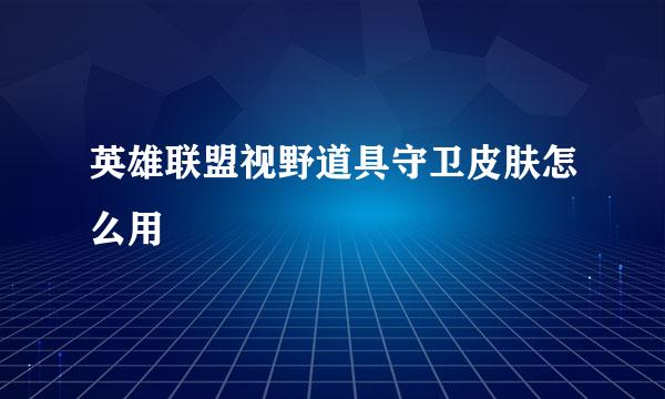 英雄联盟视野道具守卫皮肤怎么用