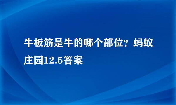 牛板筋是牛的哪个部位？蚂蚁庄园12.5答案