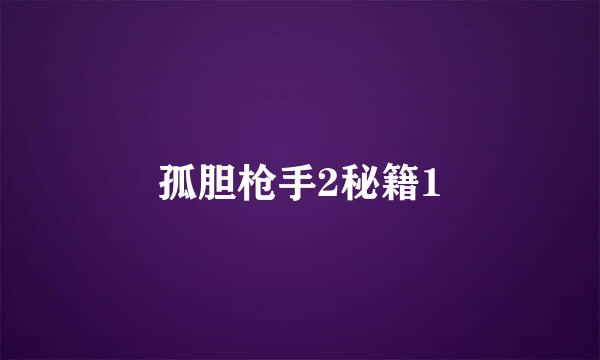 孤胆枪手2秘籍1