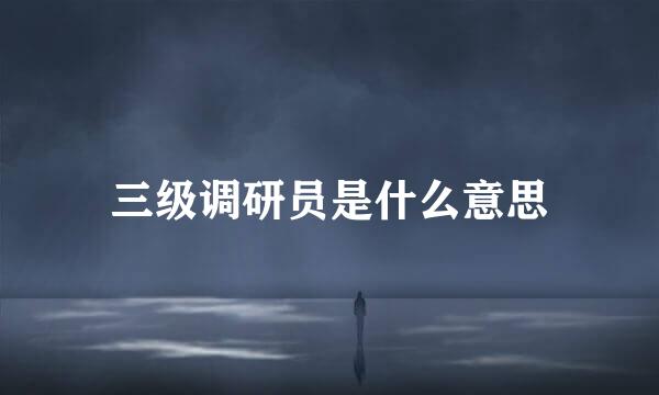 三级调研员是什么意思