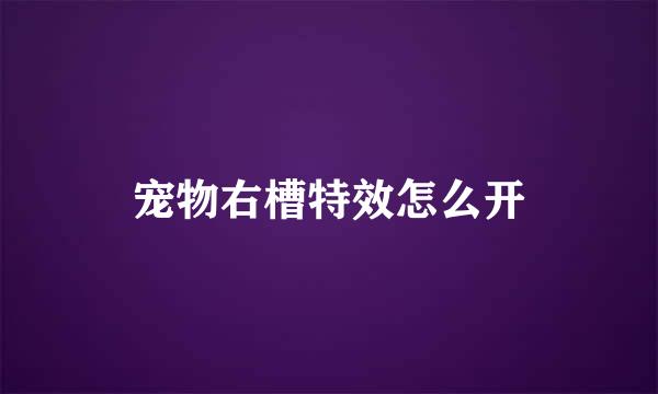 宠物右槽特效怎么开