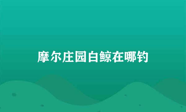 摩尔庄园白鲸在哪钓