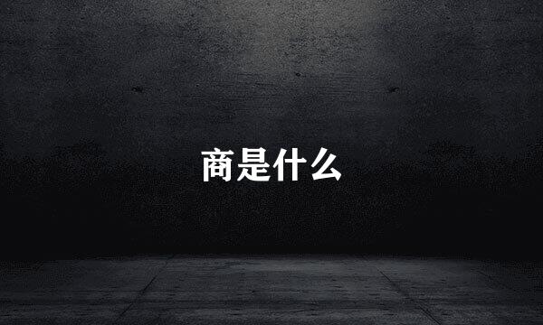 商是什么