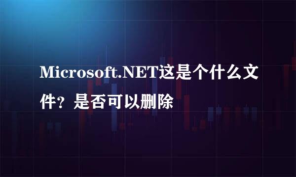 Microsoft.NET这是个什么文件？是否可以删除