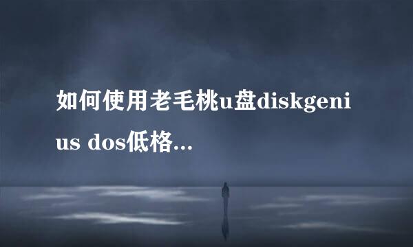 如何使用老毛桃u盘diskgenius dos低格进行杀毒