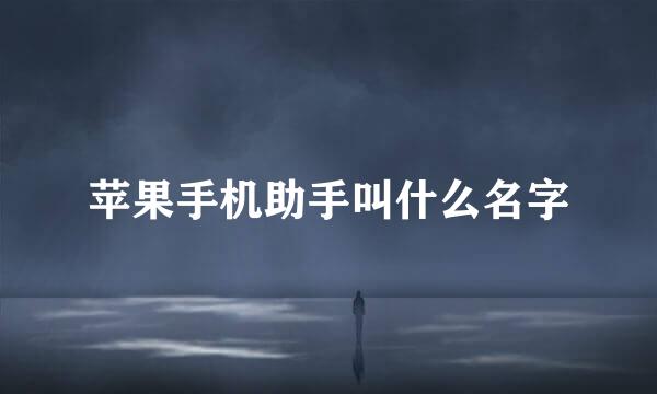 苹果手机助手叫什么名字