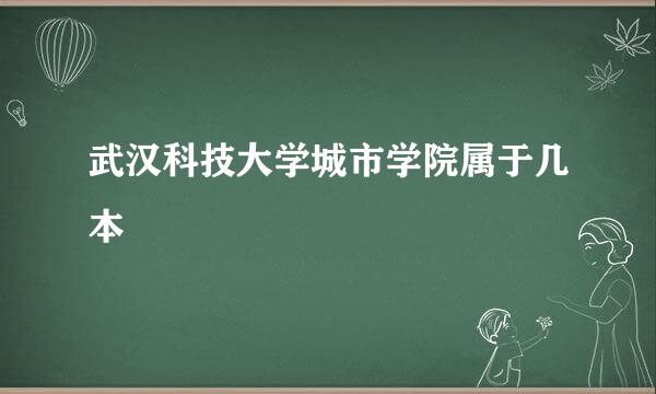 武汉科技大学城市学院属于几本