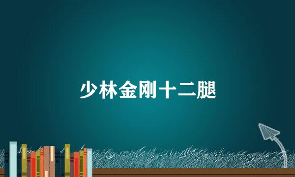 少林金刚十二腿