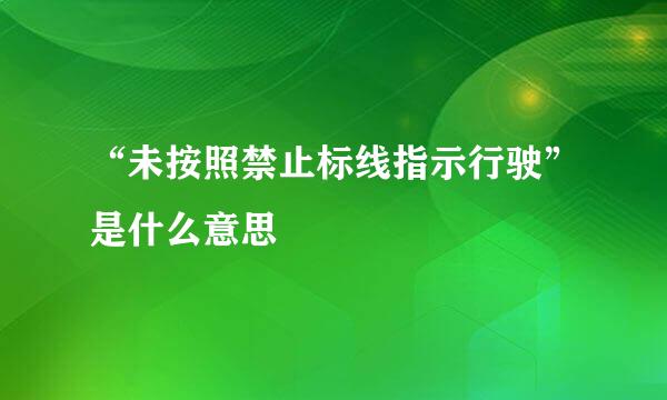 “未按照禁止标线指示行驶”是什么意思