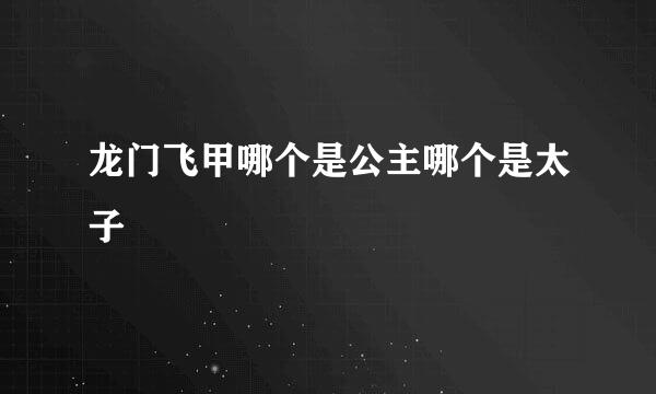 龙门飞甲哪个是公主哪个是太子