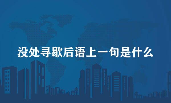 没处寻歇后语上一句是什么