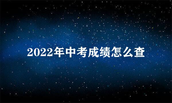 2022年中考成绩怎么查