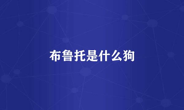 布鲁托是什么狗