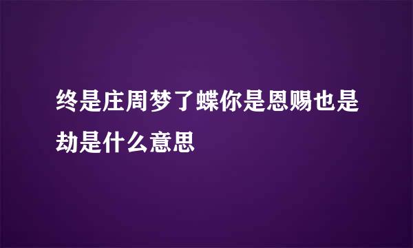 终是庄周梦了蝶你是恩赐也是劫是什么意思