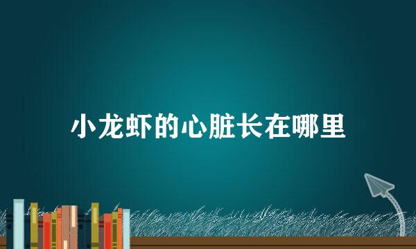 小龙虾的心脏长在哪里