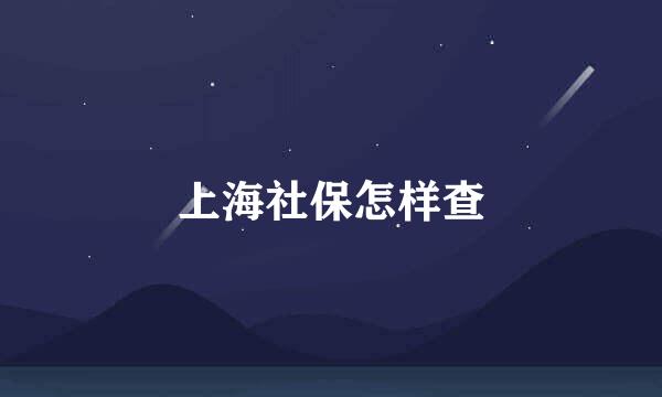 上海社保怎样查