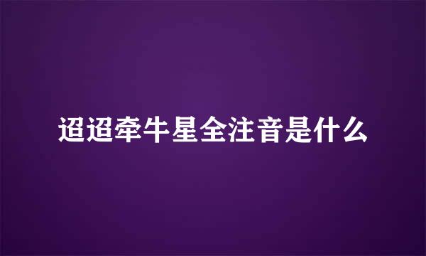 迢迢牵牛星全注音是什么