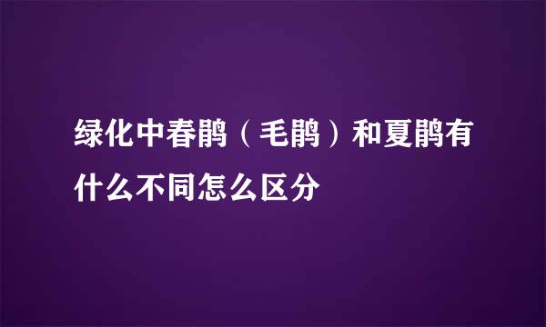 绿化中春鹃(毛鹃)和夏鹃有什么不同怎么区分