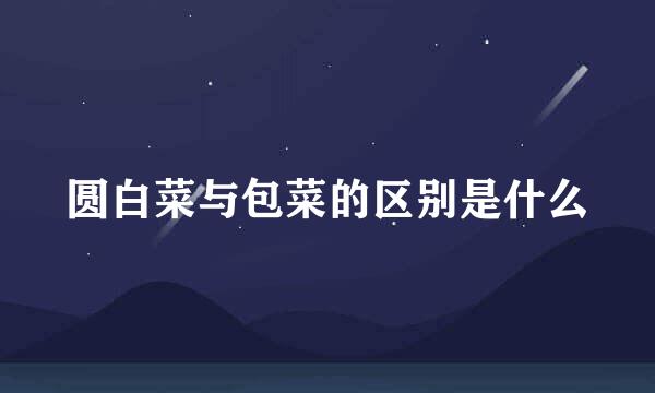 圆白菜与包菜的区别是什么