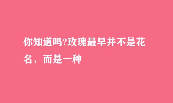 你知道吗?玫瑰最早并不是花名，而是一种