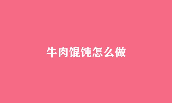 牛肉馄饨怎么做