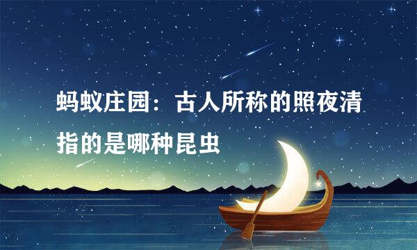 蚂蚁庄园：古人所称的照夜清指的是哪种昆虫