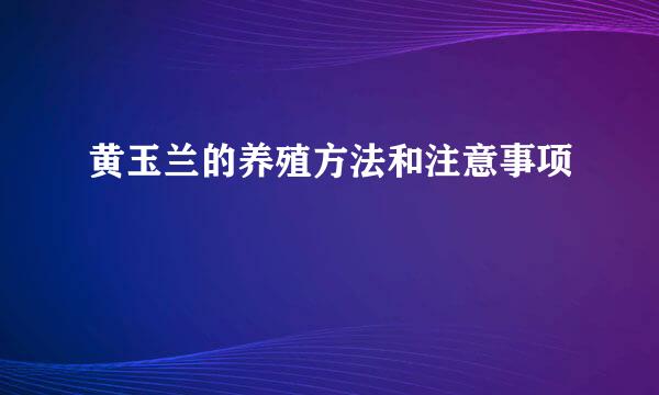黄玉兰的养殖方法和注意事项