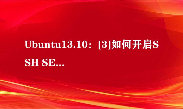 Ubuntu13.10：[3]如何开启SSH SERVER服务