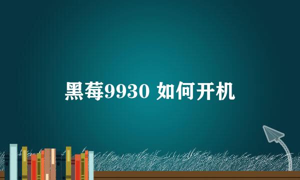 黑莓9930 如何开机