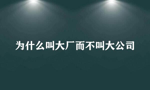 为什么叫大厂而不叫大公司